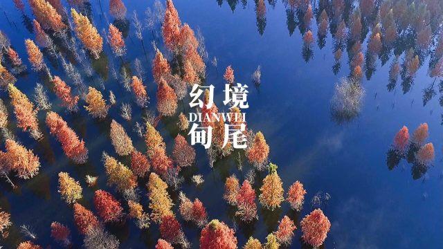 英雄无敌7